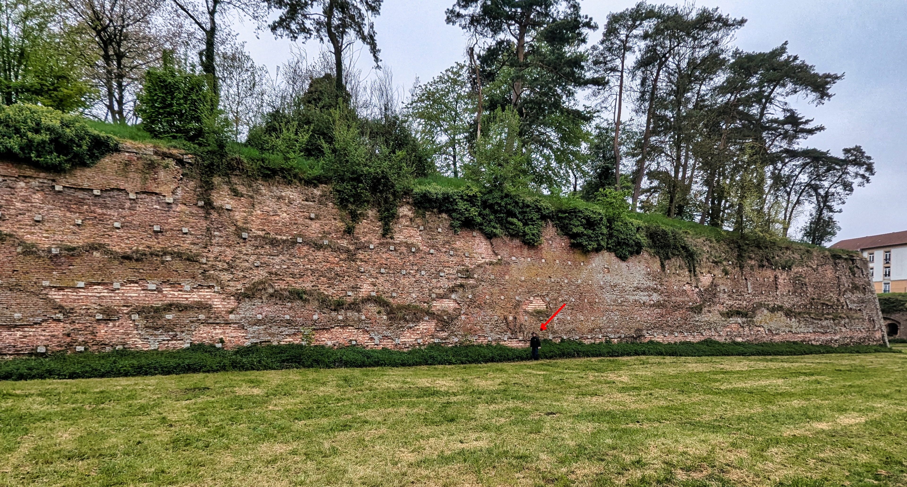 colm for scale (1).jpg