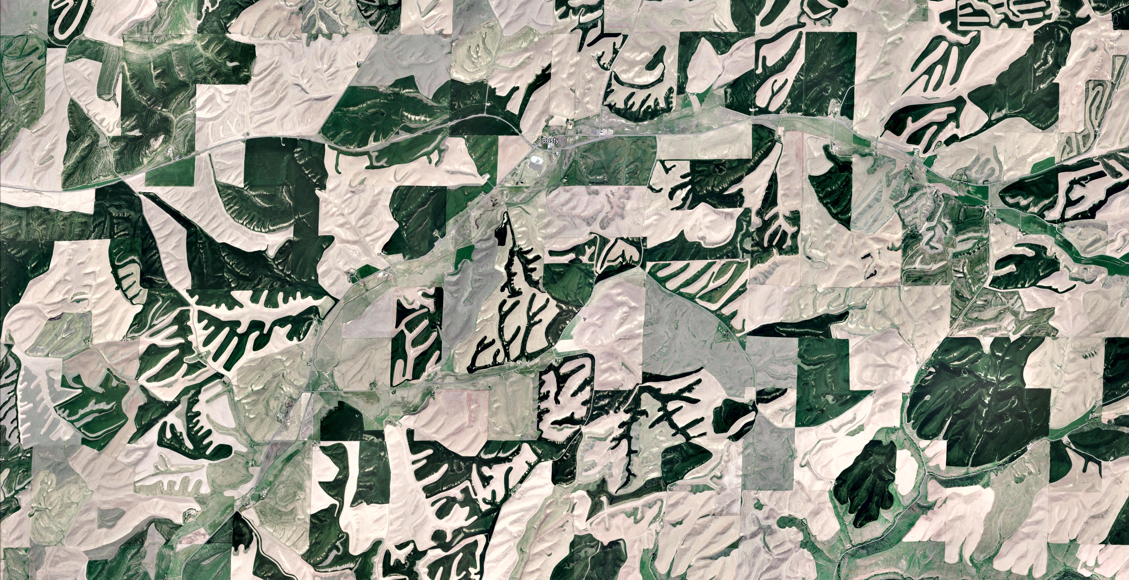 46.788728 -117.648838.jpg