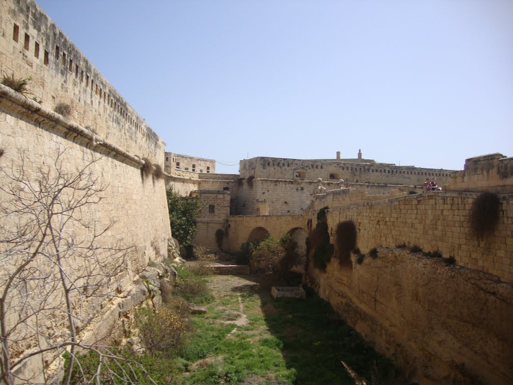 Malta05.jpg